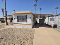 1971 Skyline Manufactured Home