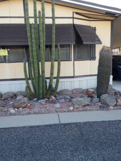 Photo 2 of 29 of home located at 2900 W Superstition Blvd  #11 Apache Junction, AZ 85120