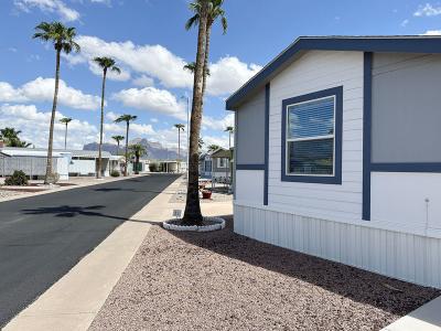 Mobile Home at 1065 N. San Marcos Dr. Apache Junction, AZ 85120