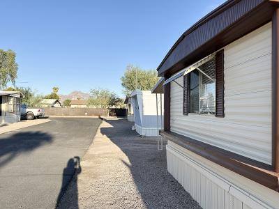 Mobile Home at 929 N. Delaware Dr. Apache Junction, AZ 85120