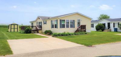 Mobile Home at 1581 Dover Drive Martin, MI 49070