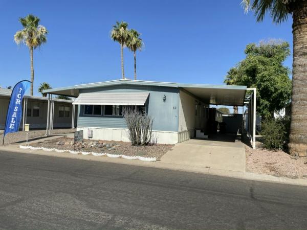 1973 Skyline Mobile Home