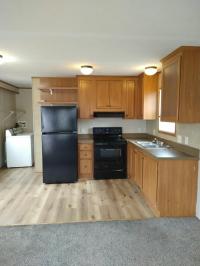 2011 Skyline N/A Manufactured Home