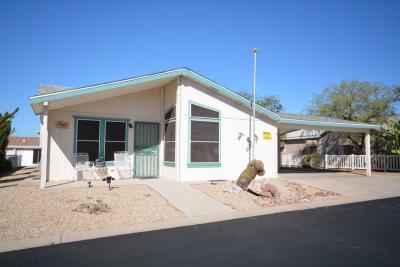 Mobile Home at 8840 E Sunland Ave Lot 161 Mesa, AZ 85208