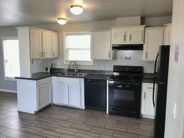 2019 51RHP16562XH19 mobile Home