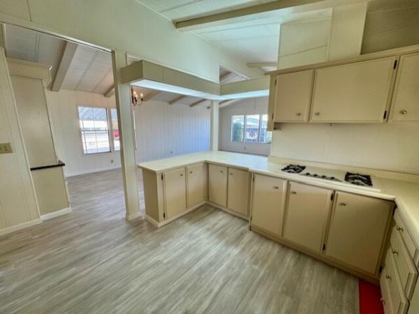 1981 Skyline Custom Villa Mobile Home