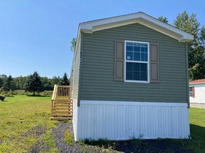 Mobile Home at 6013 Manley Drive Red Creek, NY 13143