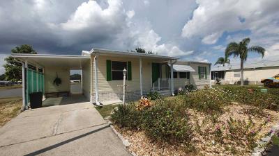 Mobile Home at 25725 Alicia Drive Leesburg, FL 34748