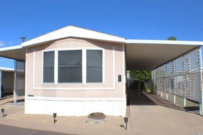 Mobile Home at 3300 E. Broadway Rd. #205 Mesa, AZ 85204