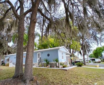 Photo 4 of 12 of home located at 424 Tulip Fruitland Park, FL 34731