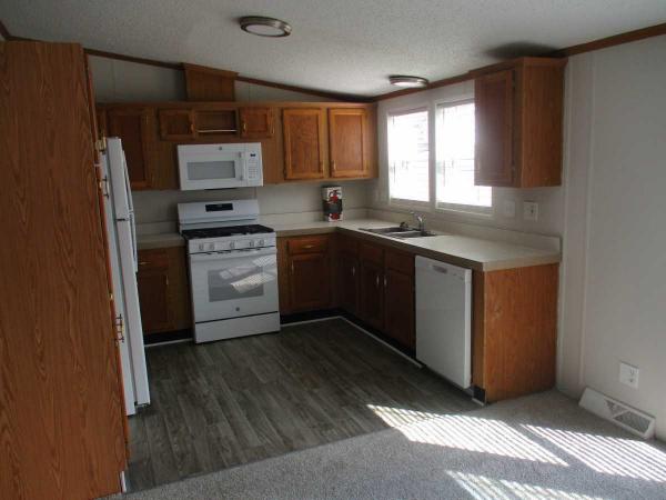 1998 Skyline Manufactured Home