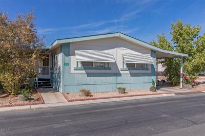 Mobile Home at 5300 E. Desert Inn Rd. Las Vegas, NV 89122