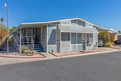 Mobile Home at 3800 S. Decatur Blvd. Las Vegas, NV 89103