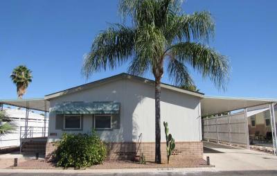 Mobile Home at 3411 S. Camino Seco # 255 Tucson, AZ 85730