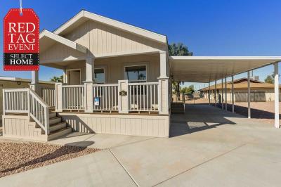 Mobile Home at 9333 E University Dr Lot #034 Mesa, AZ 85207