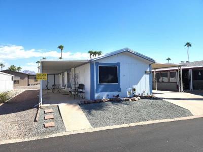 Mobile Home at 53 North Mountain Road, Lot 40 Apache Junction, AZ 85120