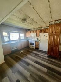 1975 Manufactured Home