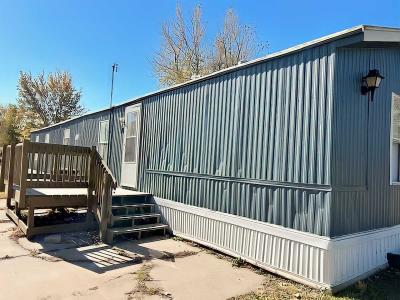 Mobile Home at 2552 Smith Ave., Lot 35 Marshalltown, IA 50158