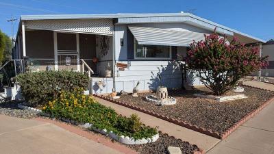 Mobile Home at 305 S. Val Vista Drive #39 Mesa, AZ 85204