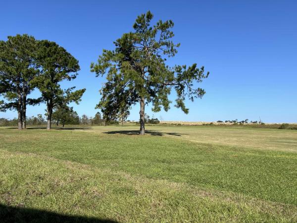 2023 Palm Harbor Carriage Farmhouse  Home