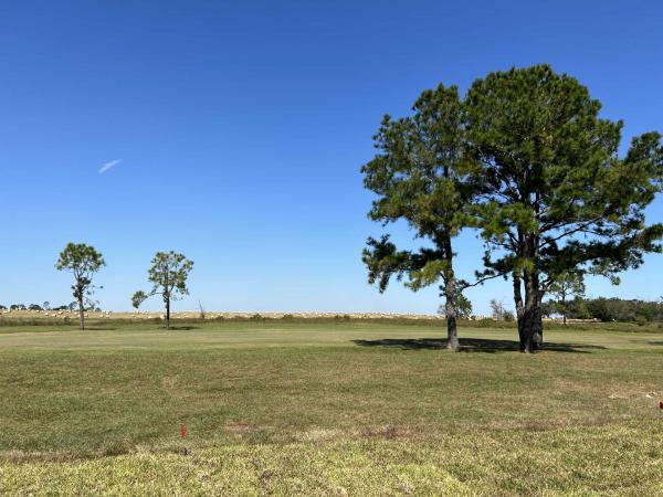 2023 Palm Harbor Cottage Farmhouse  Home