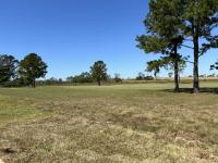 2023 Palm Harbor Ventura VI  Home