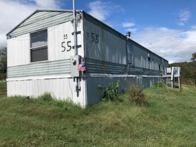 Mobile Home at 55 Carl Doty Rd Afton, TN 37616