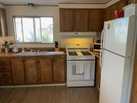 1981 Lifestyle Monclair Custom Mobile Home