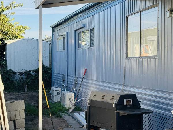 1970 Skyline Mobile Home