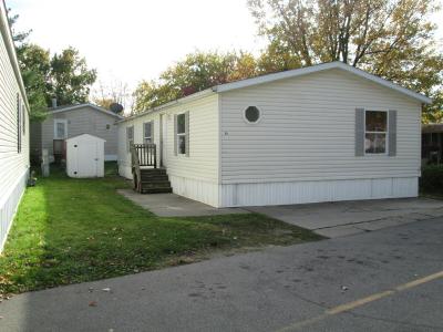 Mobile Home at 1139 Lincoln Ave. Lot #45 Holland, MI 49423