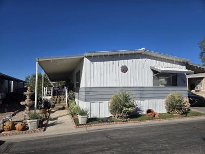 Mobile Home at 867 N Lamb Blvd Las Vegas, NV 89110