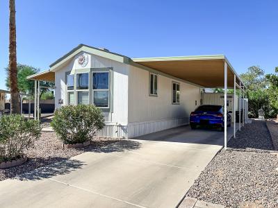 Photo 3 of 30 of home located at 202 N. Meridian Rd. Apache Junction, AZ 85120