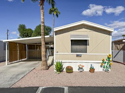 Mobile Home at 929 N. Delaware Dr. Apache Junction, AZ 85120