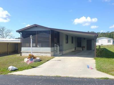 Mobile Home at 11537 Pierview Rd Dade City, FL 33525