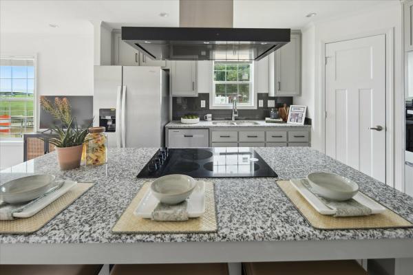 2024 Champion 395A Multi Section Duplex/Northwood Singlewide - Gray/White  Home