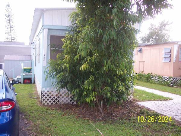 1972 Peerless Mobile Home For Sale