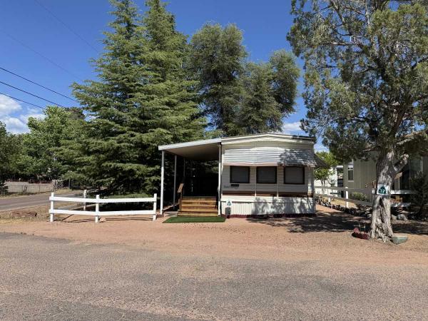 1988 Skyline Mobile Home For Sale