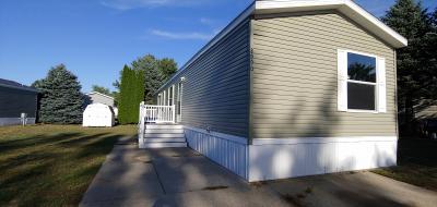 Mobile Home at 9025 Brickersville Drive Lot 486 West Olive, MI 49460