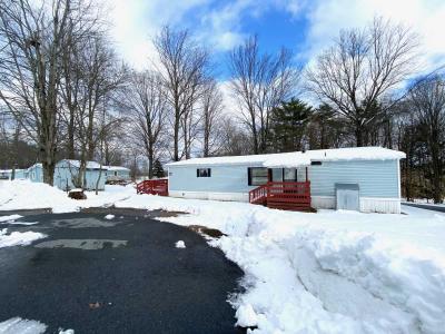 Mobile Home at 377 Angel Rd #31 Corinth, NY 12822