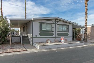 Mobile Home at 5303 E. Twain Ave. Las Vegas, NV 89122