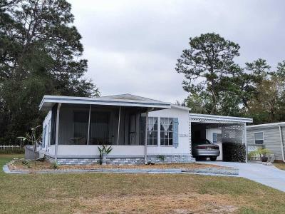 Mobile Home at 25908 Vazcaya Blvd Leesburg, FL 34748