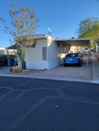 1968 Skyline Palm Springs Manufactured Home