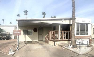 Mobile Home at 600 S. Idaho Rd. #647 Apache Junction, AZ 85119