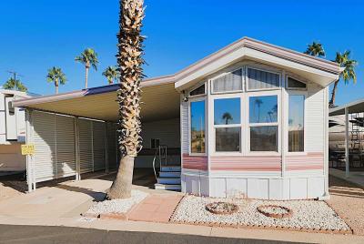 Mobile Home at 1371 E 4th Ave., Lot 76 Apache Junction, AZ 85119