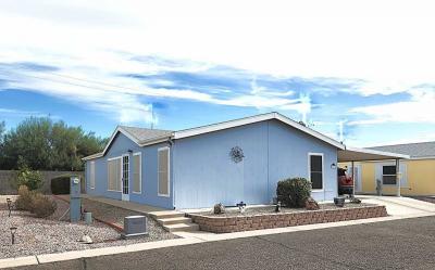 Mobile Home at 9822 E Main Street, Lot 2 Mesa, AZ 85207