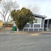 1980 SKYLINE Mobile Home