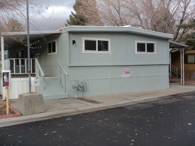 Mobile Home at 310 B Street Carson City, NV 89706