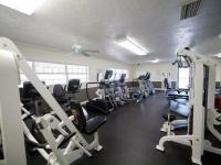2025 Skyline - Ocala Seaside Mobile Home