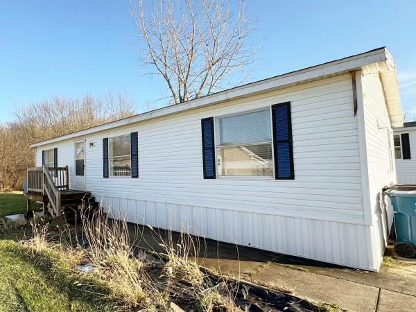 1995 Patriot Manufactured Home
