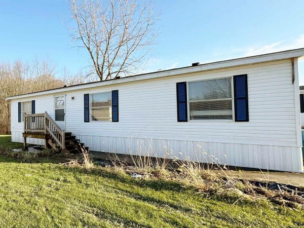 1995 Patriot Manufactured Home